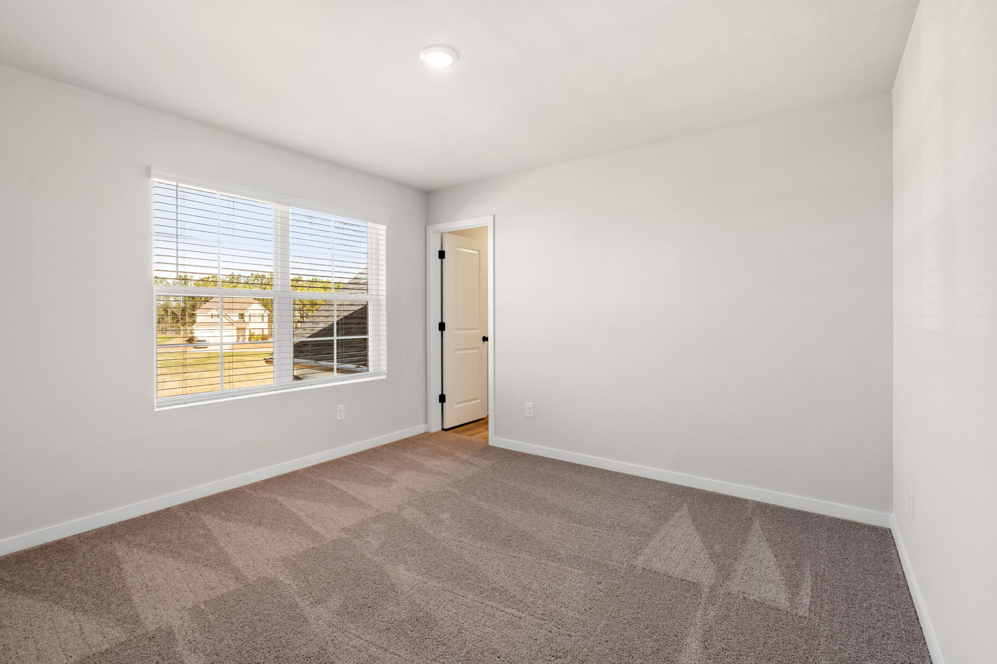 A room with a carpet and a door.