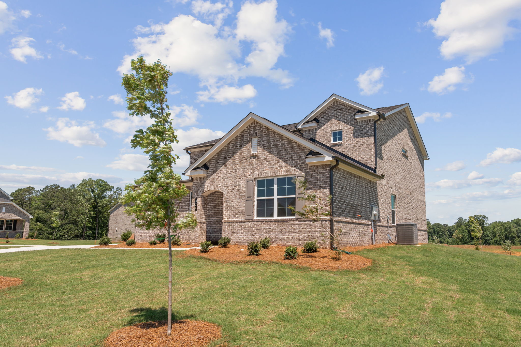 A house with a tree in the front yard.