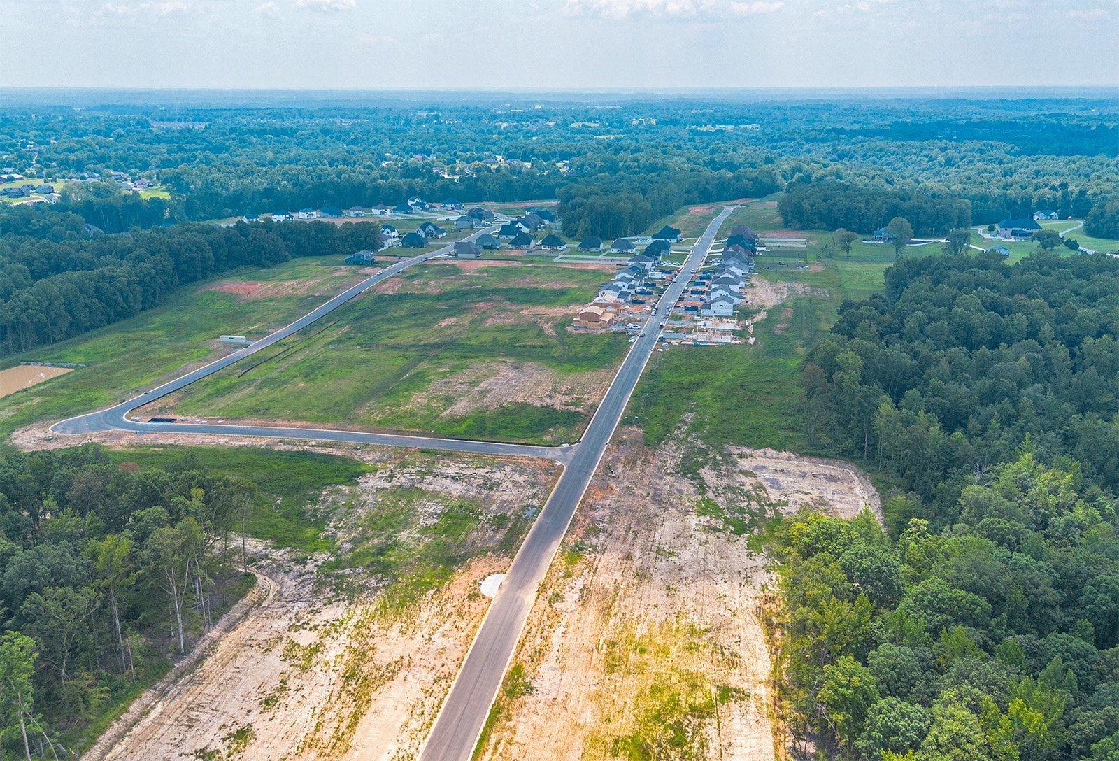 A road with trees and grass.