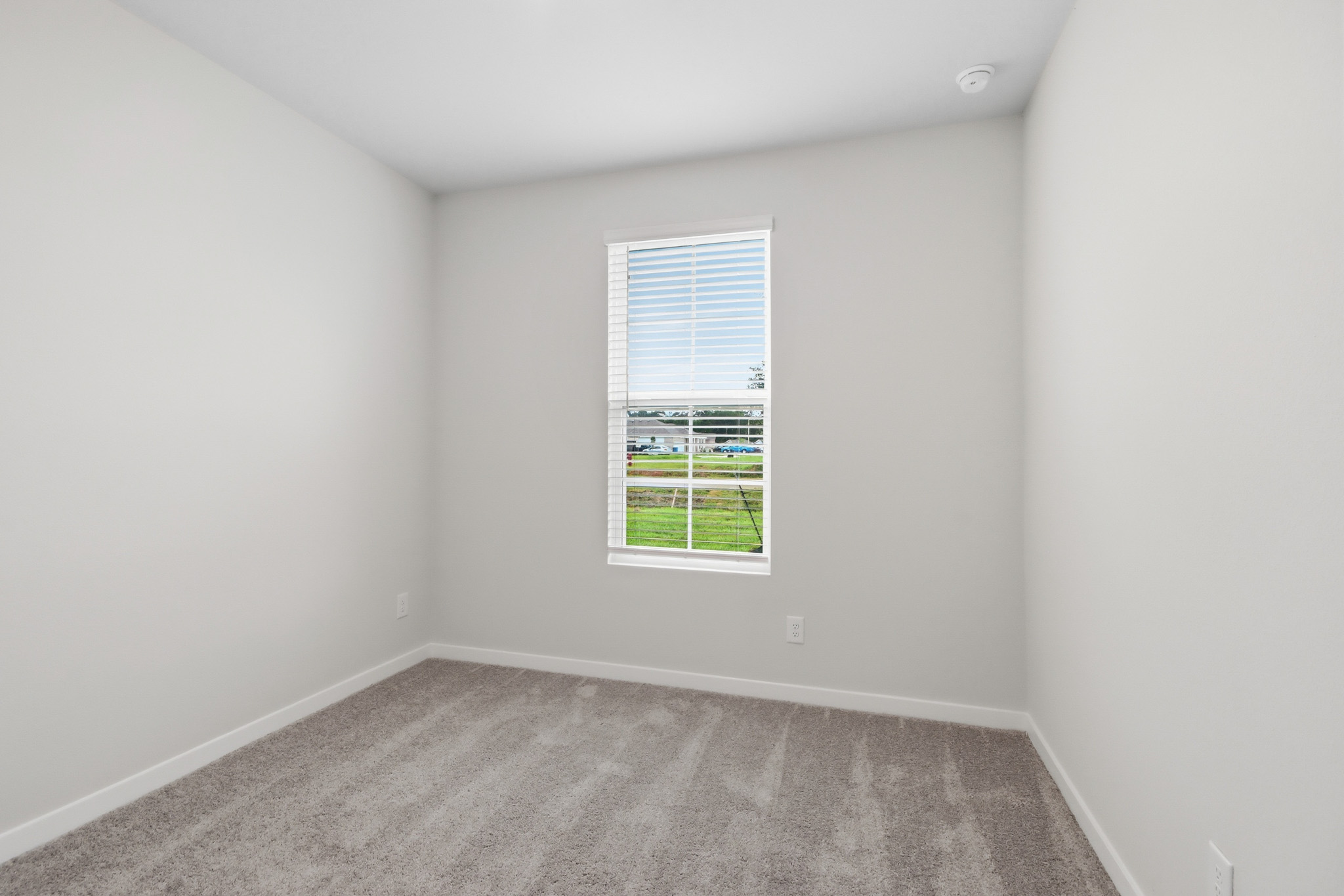 A room with a window and a rug.