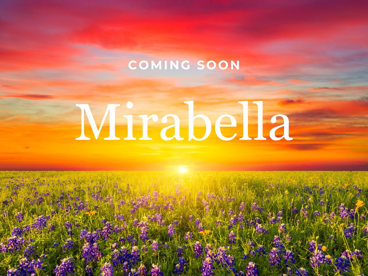 A field of flowers with a sunset in the background.