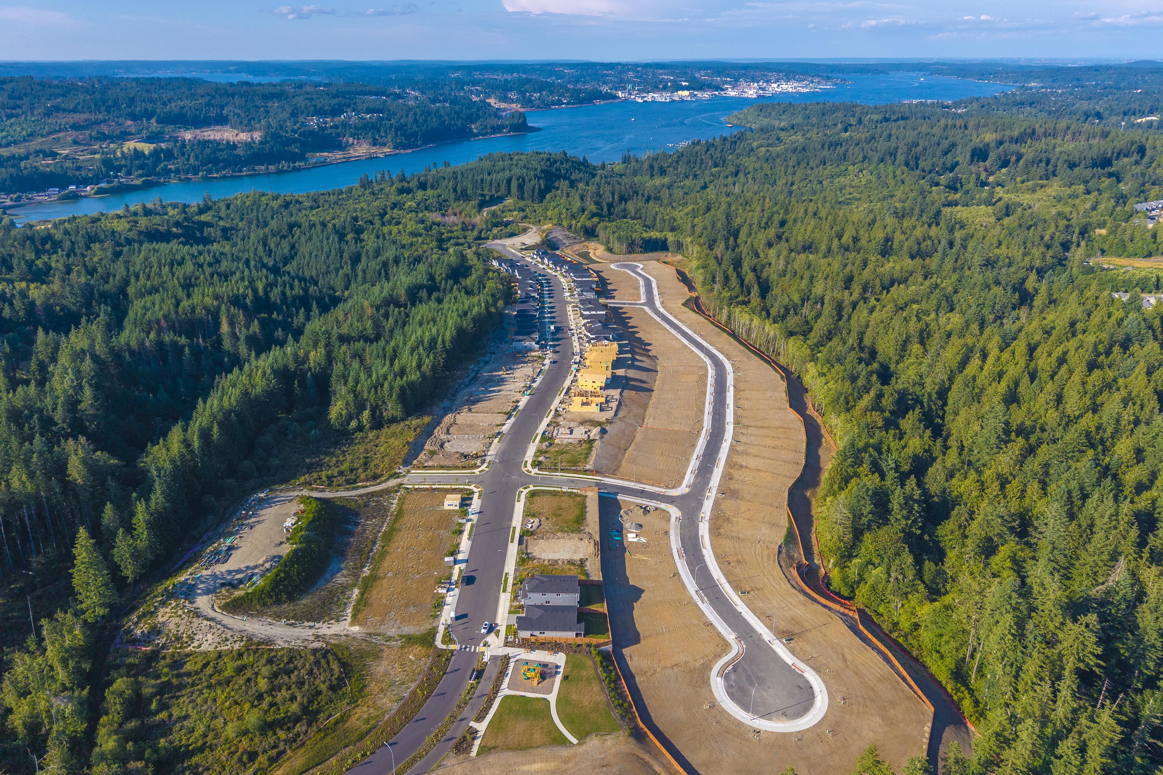 A river running through a forest.