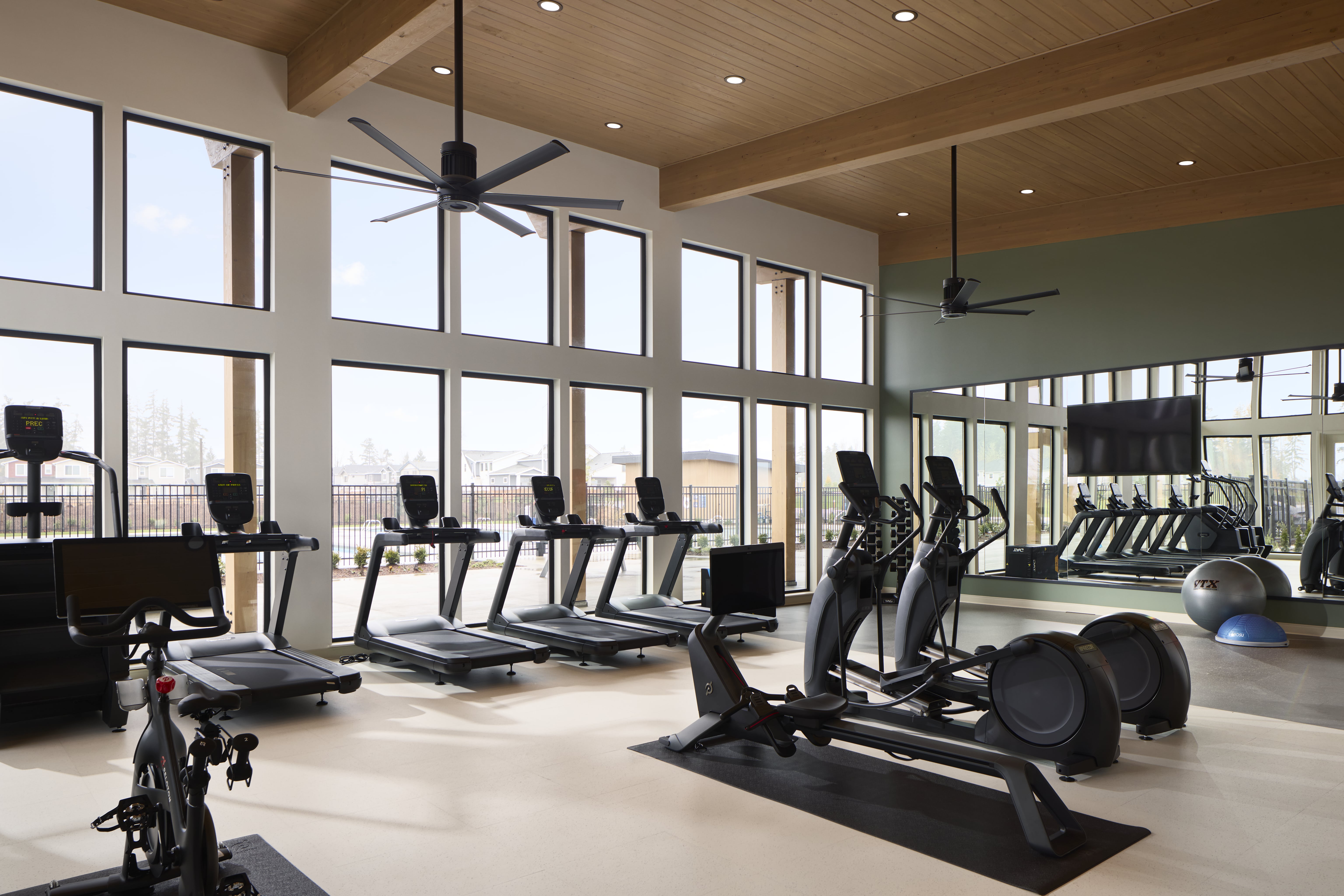 20251205_morismorenophotography_tarragon_7181-min