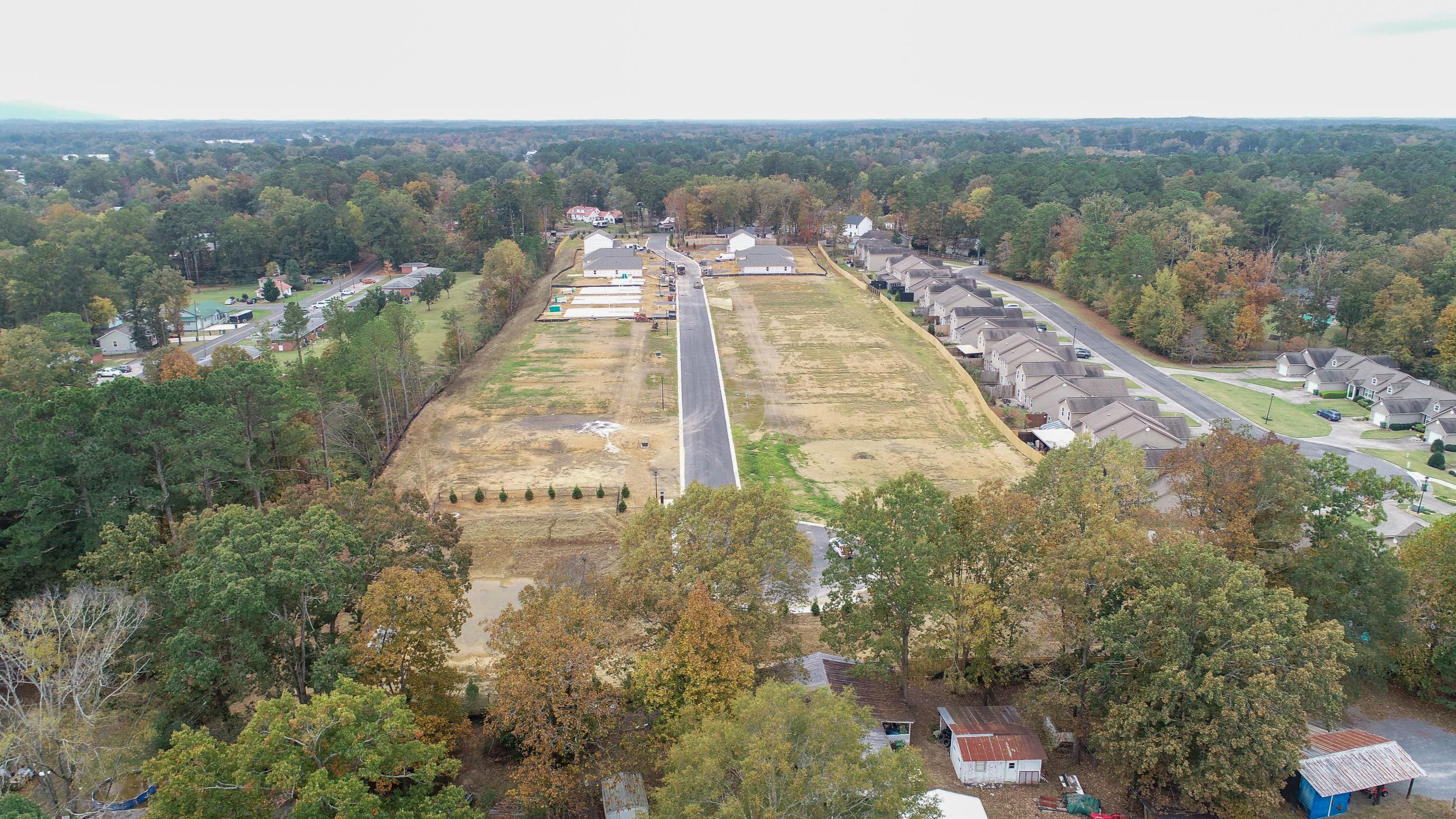 A road with trees and a bridge.